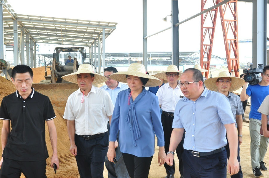 自治區(qū)黨委常委、副主席嚴(yán)植嬋一行蒞臨廣西銀億調(diào)研